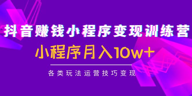 （4511期）抖音赚钱小程序变现训练营：小程序月入10w+各类玩法运营技巧变现-保成圈-山云人力,分享创业咨询_最新网络项目资源