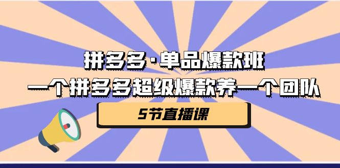 （7019期）拼多多·单品爆款班，一个拼多多超级爆款养一个团队（5节直播课）-保成圈-山云人力,分享创业咨询_最新网络项目资源