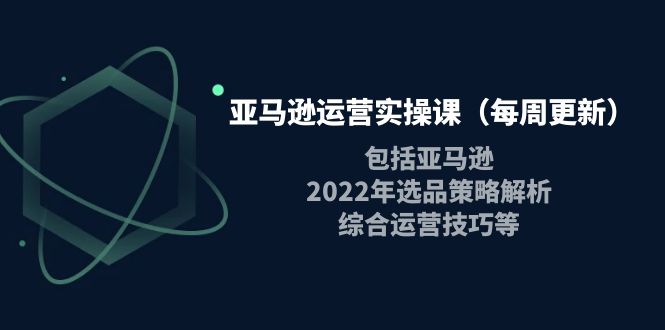 （3955期）亚马逊运营实操课（每周更新）包括亚马逊2022选品策略解析，综合运营技巧等-保成圈-山云人力,分享创业咨询_最新网络项目资源