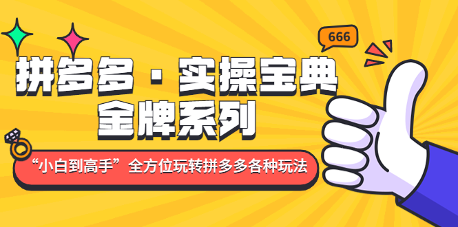 （4934期）拼多多·实操宝典：金牌系列“小白到高手”带你全方位玩转拼多多各种玩法-保成圈-山云人力,分享创业咨询_最新网络项目资源