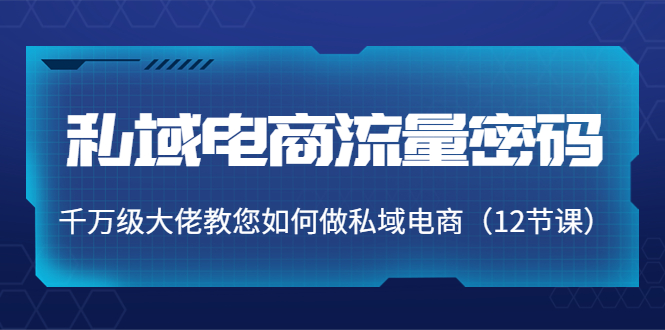 （3977期）私域电商流量密码：千万级大佬教您如何做私域电商（12节课）-保成圈-山云人力,分享创业咨询_最新网络项目资源