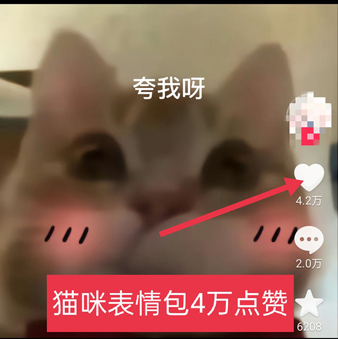 图片[3]-（5498期）黑科技纯原创可爱猫咪图片，全网精准引流，实操5个VX号被加频繁-保成圈-山云人力,分享创业咨询_最新网络项目资源