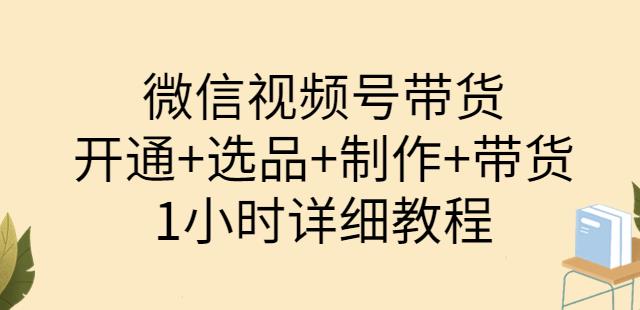 陈奶爸·微信视频号带货：开通+选品+制作+带货（1小时详细教程）-保成圈-山云人力,分享创业咨询_最新网络项目资源