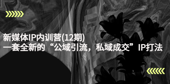 （4103期）新媒体IP内训营(12期)，一套全新的“公域引流，私域成交”IP打法，直接带走-保成圈-山云人力,分享创业咨询_最新网络项目资源