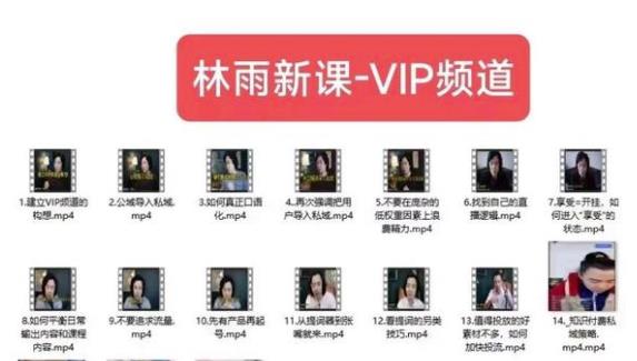 林雨新课VIP频道，玩赚私域/朋友圈/社群-保成圈-山云人力,分享创业咨询_最新网络项目资源