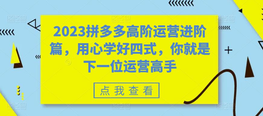 （6193期）2023拼多多高阶运营进阶篇，用心学好四式，你就是下一位运营高手-保成圈-山云人力,分享创业咨询_最新网络项目资源