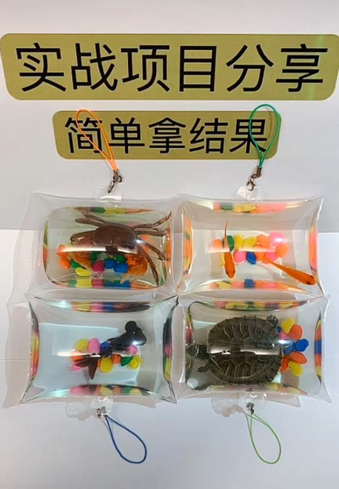 图片[3]-（5392期）最近抖音很火的泡泡鱼手工小成本地摊创业项目，日賺500+项目课程解析-保成圈-山云人力,分享创业咨询_最新网络项目资源