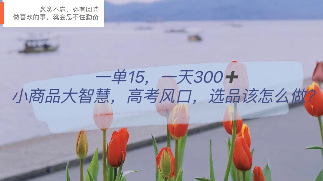 （6077期）一单15，一天300+，小商品大智慧，高考风口，选品该怎么布局-保成圈-山云人力,分享创业咨询_最新网络项目资源
