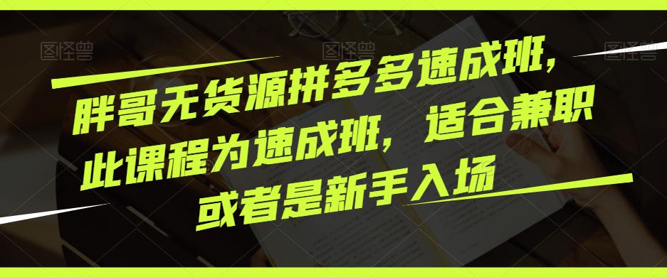 胖哥无货源拼多多速成班，此课程为速成班，适合兼职或者是新手入场-保成圈-山云人力,分享创业咨询_最新网络项目资源