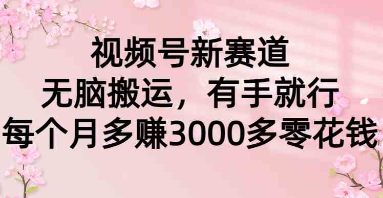 （9278期）视频号新赛道，无脑搬运，有手就行，每个月多赚3000多零花钱-保成圈-山云人力,分享创业咨询_最新网络项目资源