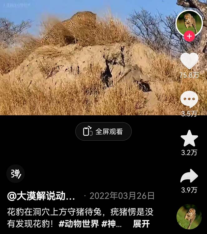 图片[2]-（6312期）外面卖1699的国外纪录片解说（动物解说、美食、动画片）稳过中视频-保成圈-山云人力,分享创业咨询_最新网络项目资源