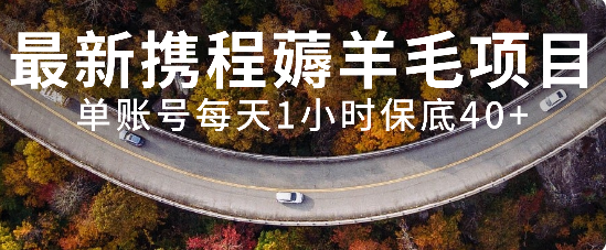 （7995期）最新携程薅羊毛项目，单账号每天1小时保底收益40+，可矩阵操作-保成圈-山云人力,分享创业咨询_最新网络项目资源