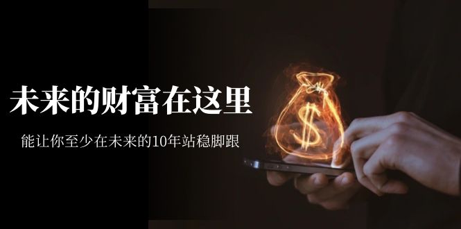 （7164期）某收费文章《未来的财富在这里》能让你至少在未来的10年站稳脚跟-保成圈-山云人力,分享创业咨询_最新网络项目资源