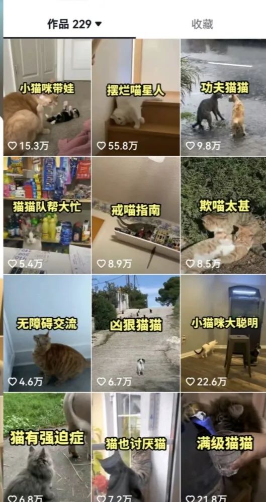 图片[3]-（6568期）拆解：抖音盘点类中视频变现副业项目，视频版一条龙大解析分享给你-保成圈-山云人力,分享创业咨询_最新网络项目资源