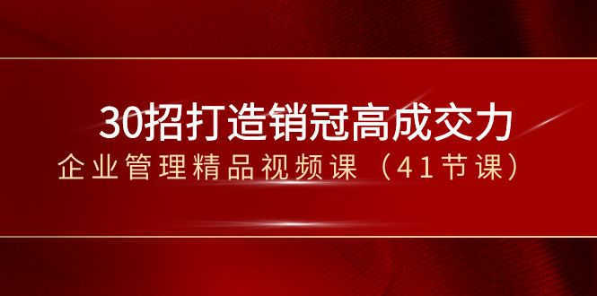 （8477期）30招-打造销冠高成交力-企业管理精品视频课（41节课）-保成圈-山云人力,分享创业咨询_最新网络项目资源