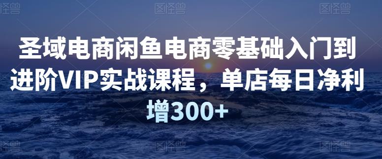 圣域电商闲鱼电商零基础入门到进阶VIP实战课程，单店每日净利增300+-保成圈-山云人力,分享创业咨询_最新网络项目资源