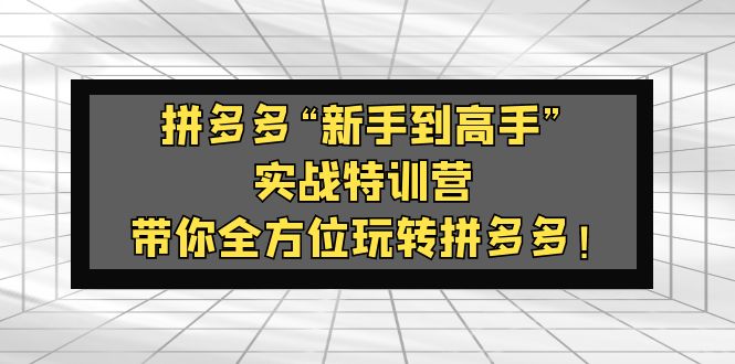 （5173期）拼多多“新手到高手”实战特训营：带你全方位玩转拼多多！-保成圈-山云人力,分享创业咨询_最新网络项目资源