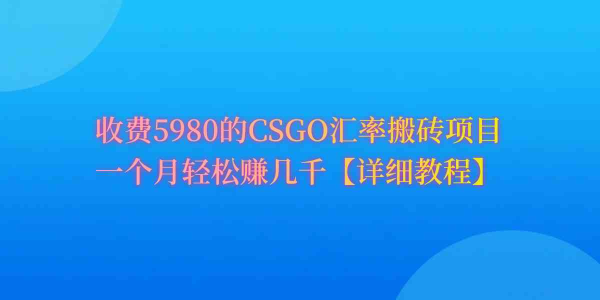 （9776期）CSGO装备搬砖，月综合收益率高达60%，你也可以！-保成圈-山云人力,分享创业咨询_最新网络项目资源