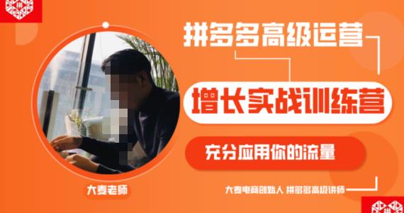 拼多多高级运营增长实战训练营，充分应用你的流量（拼多多2980元付费课程）-保成圈-山云人力,分享创业咨询_最新网络项目资源