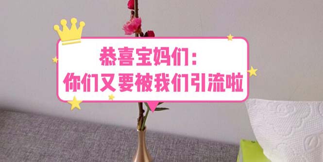 （5891期）恭喜宝妈们：你们又要被我们引流了（教程+222g资料）-保成圈-山云人力,分享创业咨询_最新网络项目资源