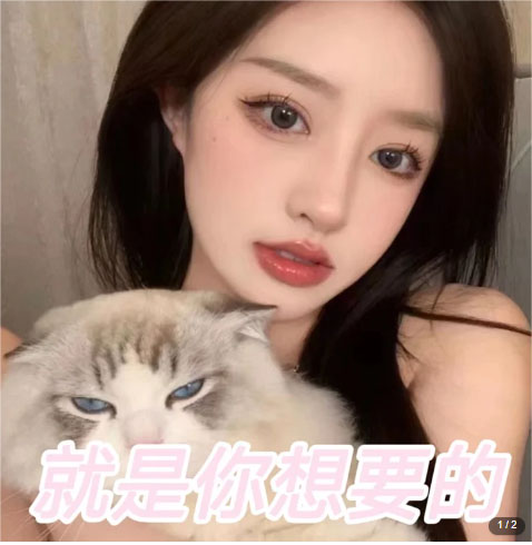 图片[2]-（5273期）微信交友变现项目，吸引全网LSP男粉精准变现，小白也能轻松上手，日入500+-保成圈-山云人力,分享创业咨询_最新网络项目资源