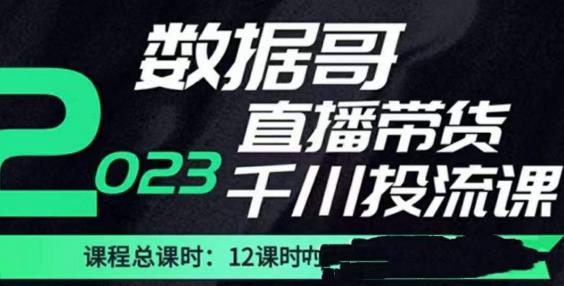 数据哥2023直播电商巨量千川付费投流实操课，快速掌握直播带货运营投放策略-保成圈-山云人力,分享创业咨询_最新网络项目资源