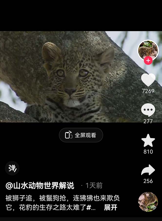 图片[3]-（6312期）外面卖1699的国外纪录片解说（动物解说、美食、动画片）稳过中视频-保成圈-山云人力,分享创业咨询_最新网络项目资源