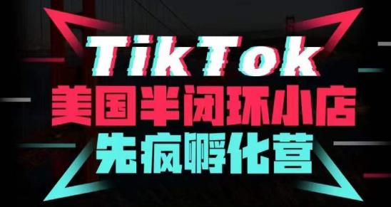 疯人院·TikTok美国半闭环小店孵化营，抢占TikTok美国蓝海市场，开店、运营、带货、投流全实操-保成圈-山云人力,分享创业咨询_最新网络项目资源