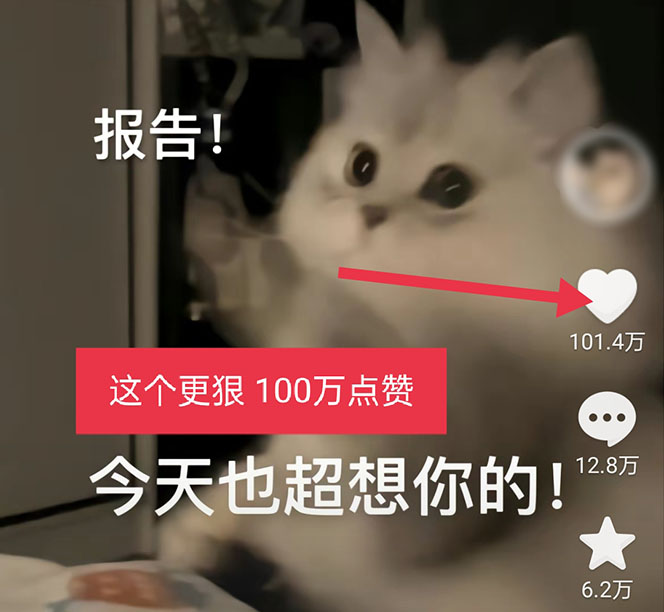 图片[4]-（5498期）黑科技纯原创可爱猫咪图片，全网精准引流，实操5个VX号被加频繁-保成圈-山云人力,分享创业咨询_最新网络项目资源