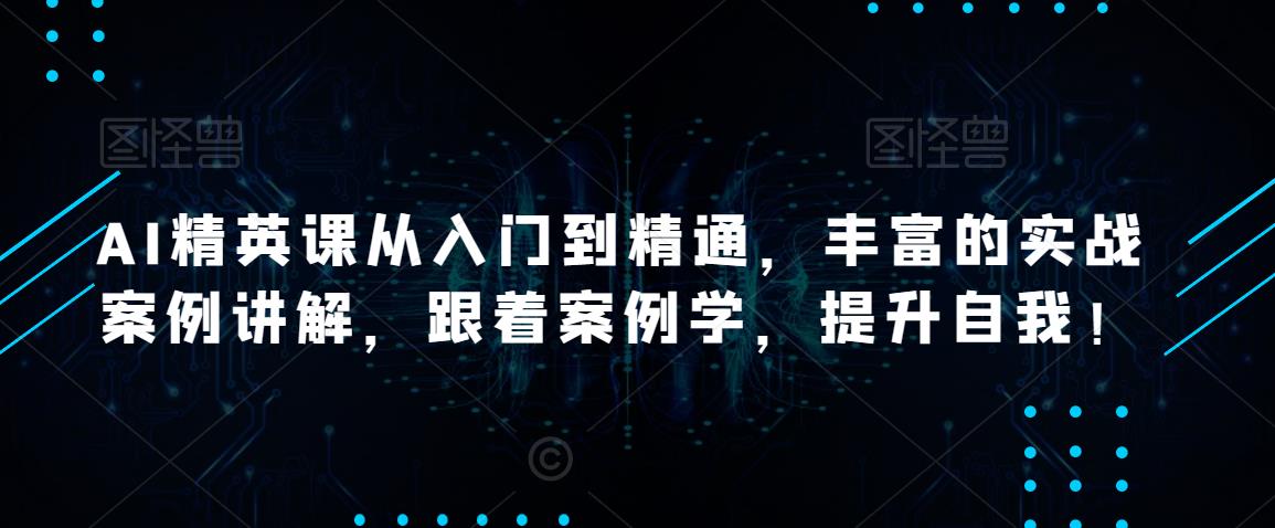 AI精英课从入门到精通，丰富的实战案例讲解，跟着案例学，提升自我！-保成圈-山云人力,分享创业咨询_最新网络项目资源