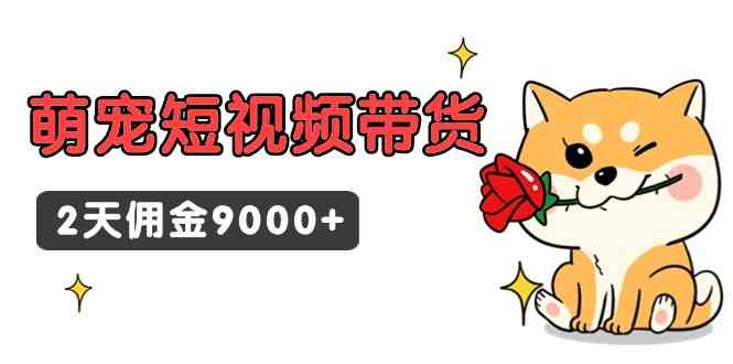 （9273期）东哲日记·萌宠短视频带货，2天佣金9000+-保成圈-山云人力,分享创业咨询_最新网络项目资源