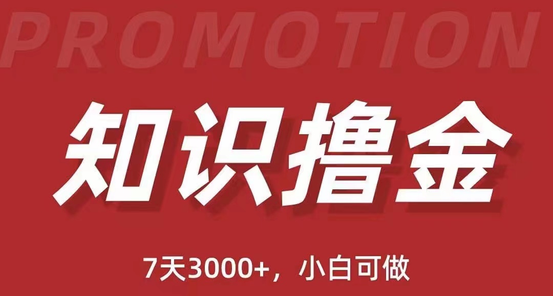 （5629期）抖音知识撸金项目：简单粗暴日入1000+执行力强当天见收益(教程+资料)-保成圈-山云人力,分享创业咨询_最新网络项目资源