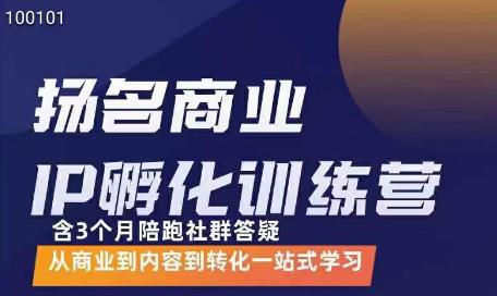 王扬名·商业IP孵化训练营，从商业到内容到转化一站式学习-保成圈-山云人力,分享创业咨询_最新网络项目资源