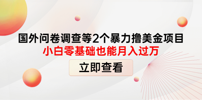 （4062期）国外问卷调查等2个暴力撸美金项目，小白零基础也能月入过万-保成圈-山云人力,分享创业咨询_最新网络项目资源