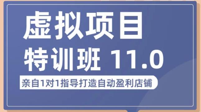 陆明明·虚拟项目特训班（10.0+11.0），0成本获取虚拟素材，0基础打造自动盈利店铺-保成圈-山云人力,分享创业咨询_最新网络项目资源