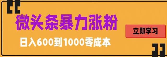 （5950期）微头条暴力涨粉技巧搬运文案就能涨几万粉丝，简单0成本，日赚600-保成圈-山云人力,分享创业咨询_最新网络项目资源