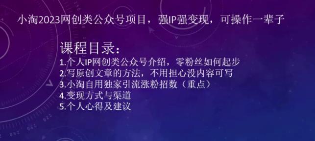小淘2023网创类公众号项目，强IP强变现，可操作一辈子-保成圈-山云人力,分享创业咨询_最新网络项目资源