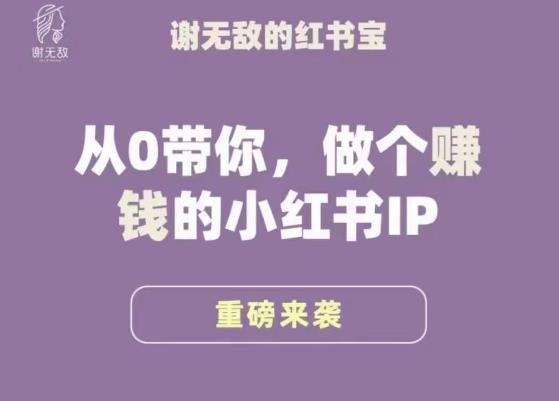 谢无敌·小红书运营大宝典，从0带你做个赚钱的小红书IP-保成圈-山云人力,分享创业咨询_最新网络项目资源