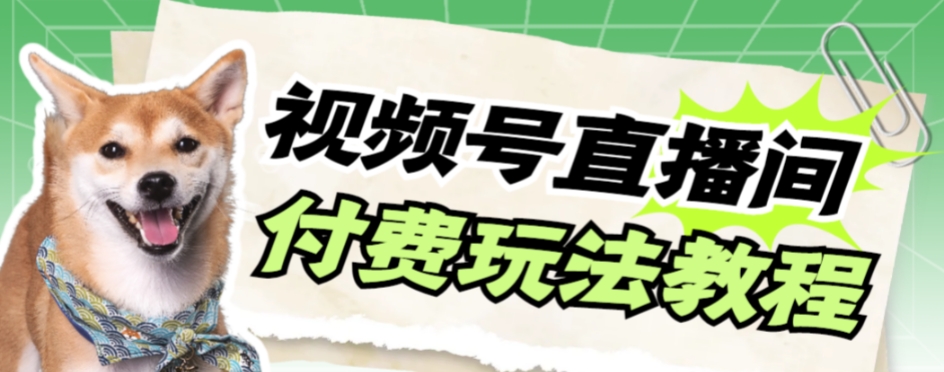 （7660期）视频号美女付费无人直播，轻松日入500+【详细玩法教程】-保成圈-山云人力,分享创业咨询_最新网络项目资源