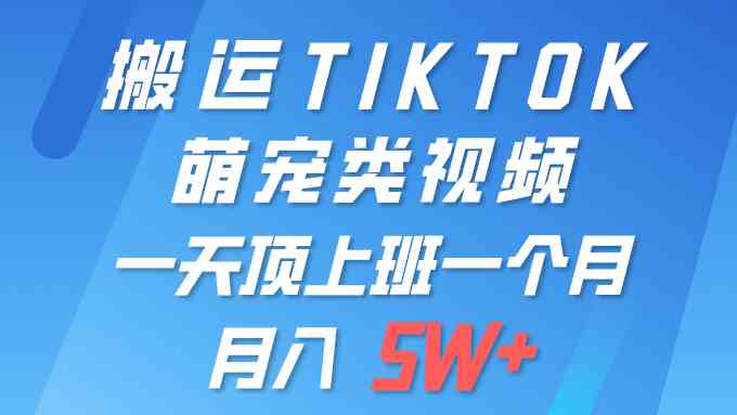 （9931期）一键搬运TIKTOK萌宠类视频 一部手机即可操作 所有平台均可发布 轻松月入5W+-保成圈-山云人力,分享创业咨询_最新网络项目资源
