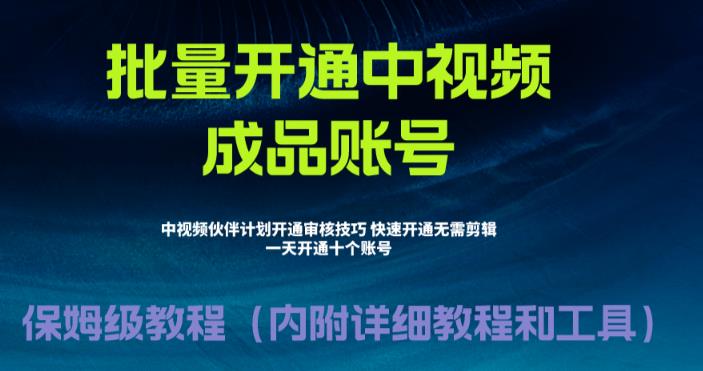 （6561期）外面收费1980暴力开通中视频计划教程，附 快速通过中视频伙伴计划的办法-保成圈-山云人力,分享创业咨询_最新网络项目资源