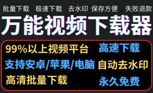 视频批量下载软件（支持全网平台，抖音，快手，B站，等等）-保成圈-山云人力,分享创业咨询_最新网络项目资源