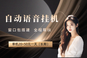 【聊天挂机】项目，单窗口20~50收益，长期项目（包搭建）-保成圈-山云人力,分享创业咨询_最新网络项目资源