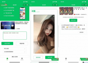 2025去水印小程序源码，已添加完整流量主广告，可直接运营-保成圈-山云人力,分享创业咨询_最新网络项目资源