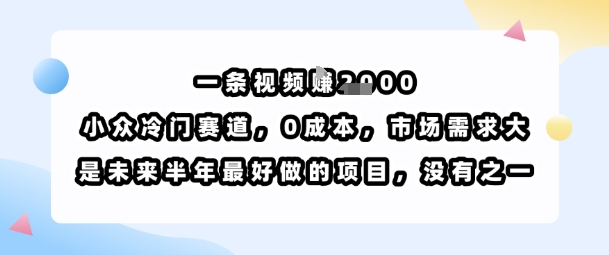 一条视频挣1k，小众冷门赛道，0成本，市场需求大，是未来半年最好做的项目，没有之一-保成圈-山云人力,分享创业咨询_最新网络项目资源