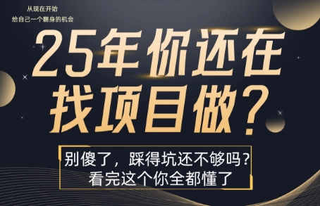 25年，你还在疯狂的找项目吗？别傻了，看完这个你都懂了【揭秘】-保成圈-山云人力,分享创业咨询_最新网络项目资源