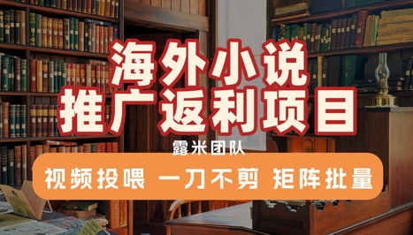 海外小说推广返利项目，视频投喂， 一刀不剪，矩阵批量-保成圈-山云人力,分享创业咨询_最新网络项目资源