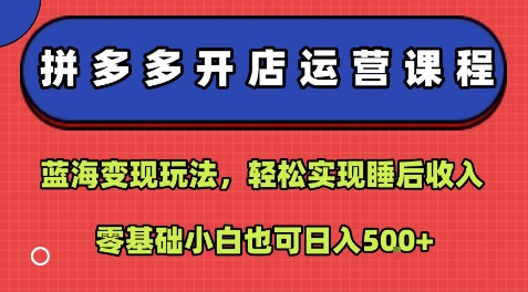 拼多多开店运营课程：蓝海变现玩法，轻松实现睡后收入，零基础小白也可日入5张-保成圈-山云人力,分享创业咨询_最新网络项目资源