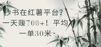 抄书在小红薯平台？平均一单30米，一天收益几张！-保成圈-山云人力,分享创业咨询_最新网络项目资源