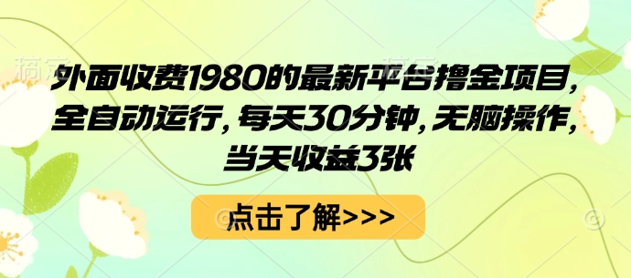 外面收费1980的最新平台撸金项目，全自动运行，每天30分钟，无脑操作，当天收益3张【揭秘】-保成圈-山云人力,分享创业咨询_最新网络项目资源